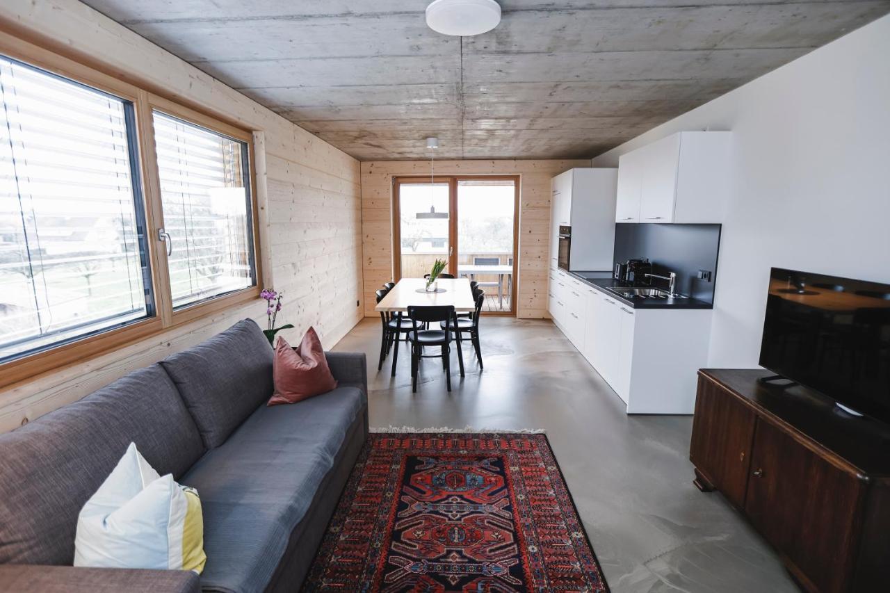 Boutique Apartments Lustenau Nachhaltige Kuehlung Ueber Erdsonde Und Fussbodenkuehlung Kültér fotó